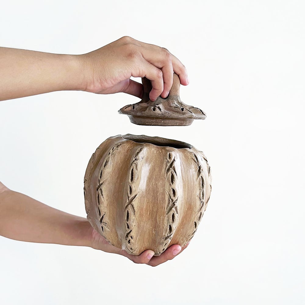 Image of Biznaga Burnished Clay Lidded Pot