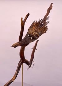 Image 4 of Road runner