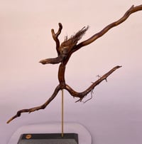 Image 1 of Road runner