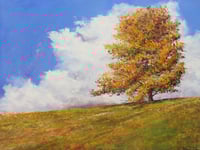 Image 1 of - Field of Dreams -