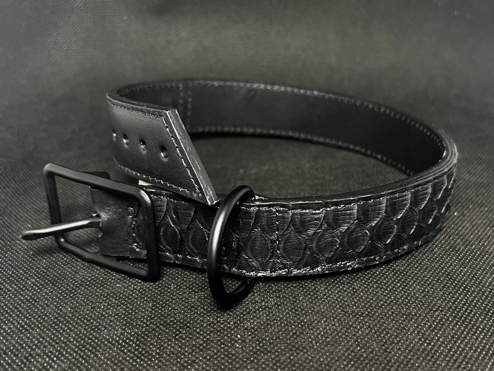 Image of 1" Black Python Collar