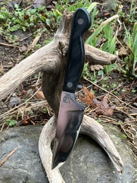 Image 1 of Plain Jane Hunter