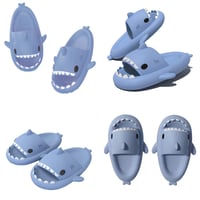 Blue Shark Slides 