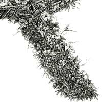 Image 3 of R Letter - LARGE Print *Deckle Edges