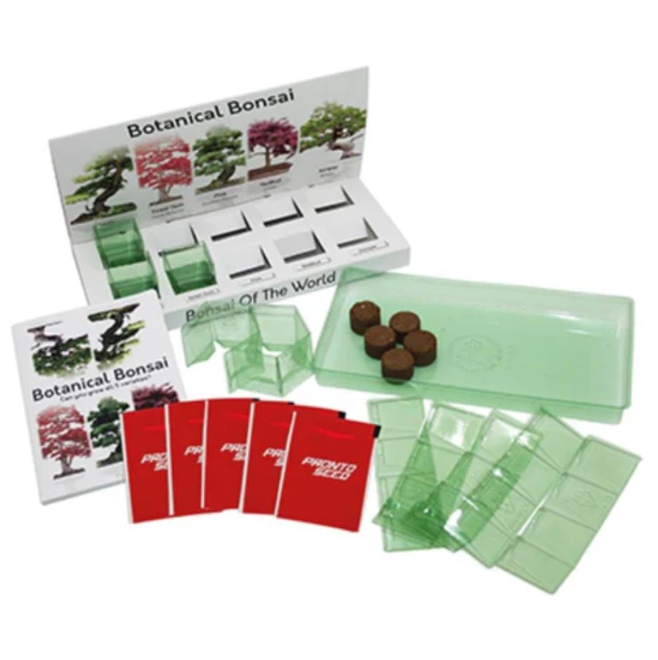 Bonsai Grow Kit | Plantdesigns