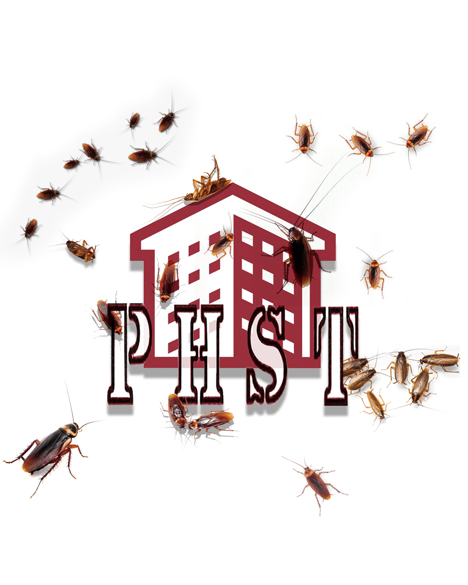 ROACHES EVERYWHERE! PREORDER publichousingskateteam