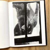 Image 5 of Merry Alpern - Dirty Windows