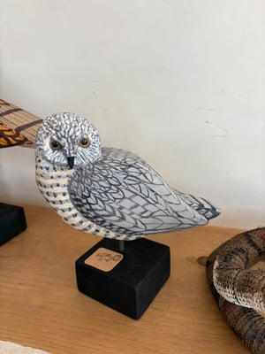 Image of Grey small owl 