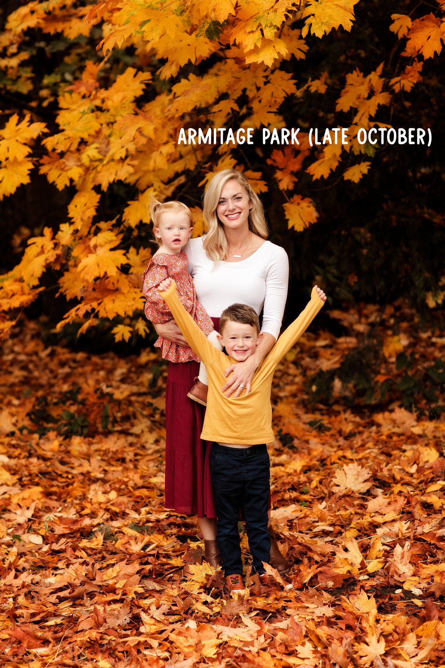 Image of Family Fall Mini Sessions