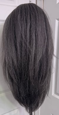 Image 1 of Gray Highlight Wig