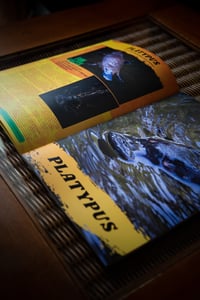 Image 2 of Neil Bloem's Australian Wildlife ISSUE TWO (2022)