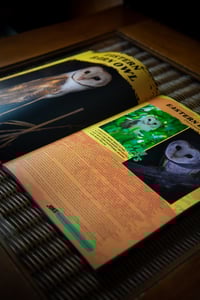 Image 3 of Neil Bloem's Australian Wildlife ISSUE TWO (2022)