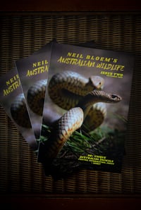 Image 4 of Neil Bloem's Australian Wildlife ISSUE TWO (2022)