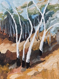Image 1 of white gums 