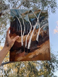 Image 2 of white gums 