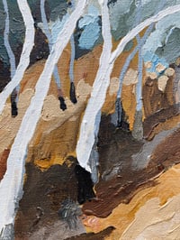 Image 3 of white gums 