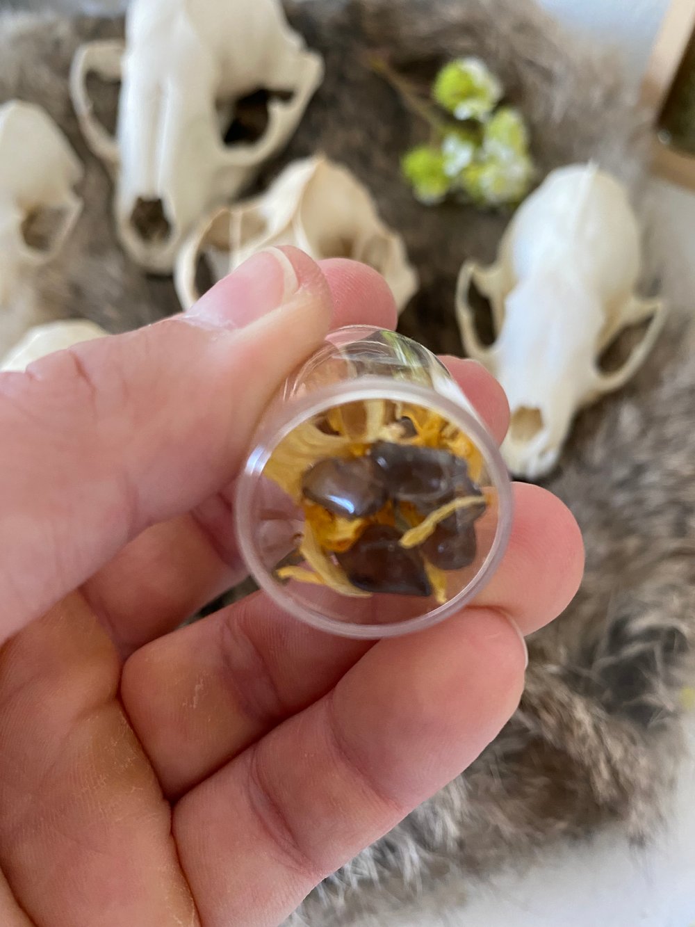 Image of Spooky Season Earth Jar