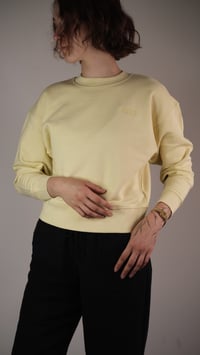 Image 1 of cropped sweatshirt