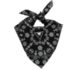 Paisley Bandana