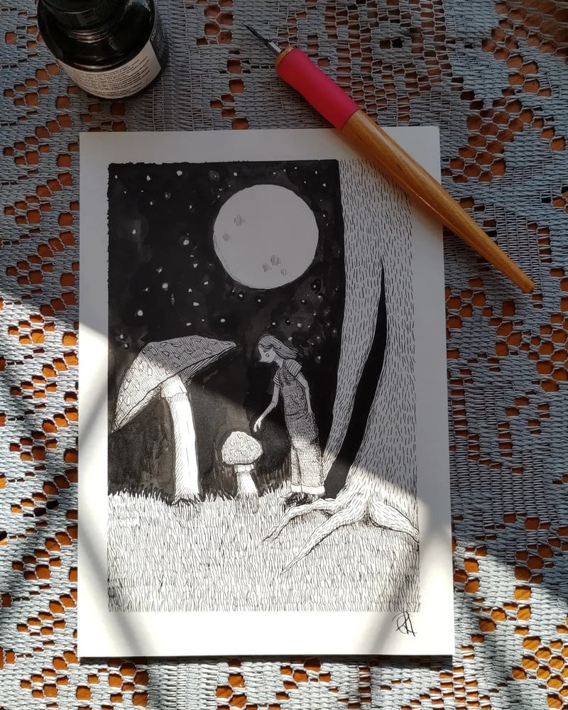 Image of Original  mushroom pen and ink illustration