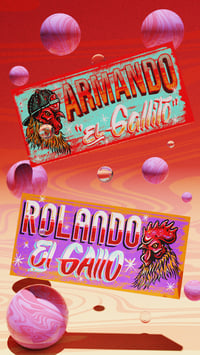 PAQUETE "LOS GALLOS"