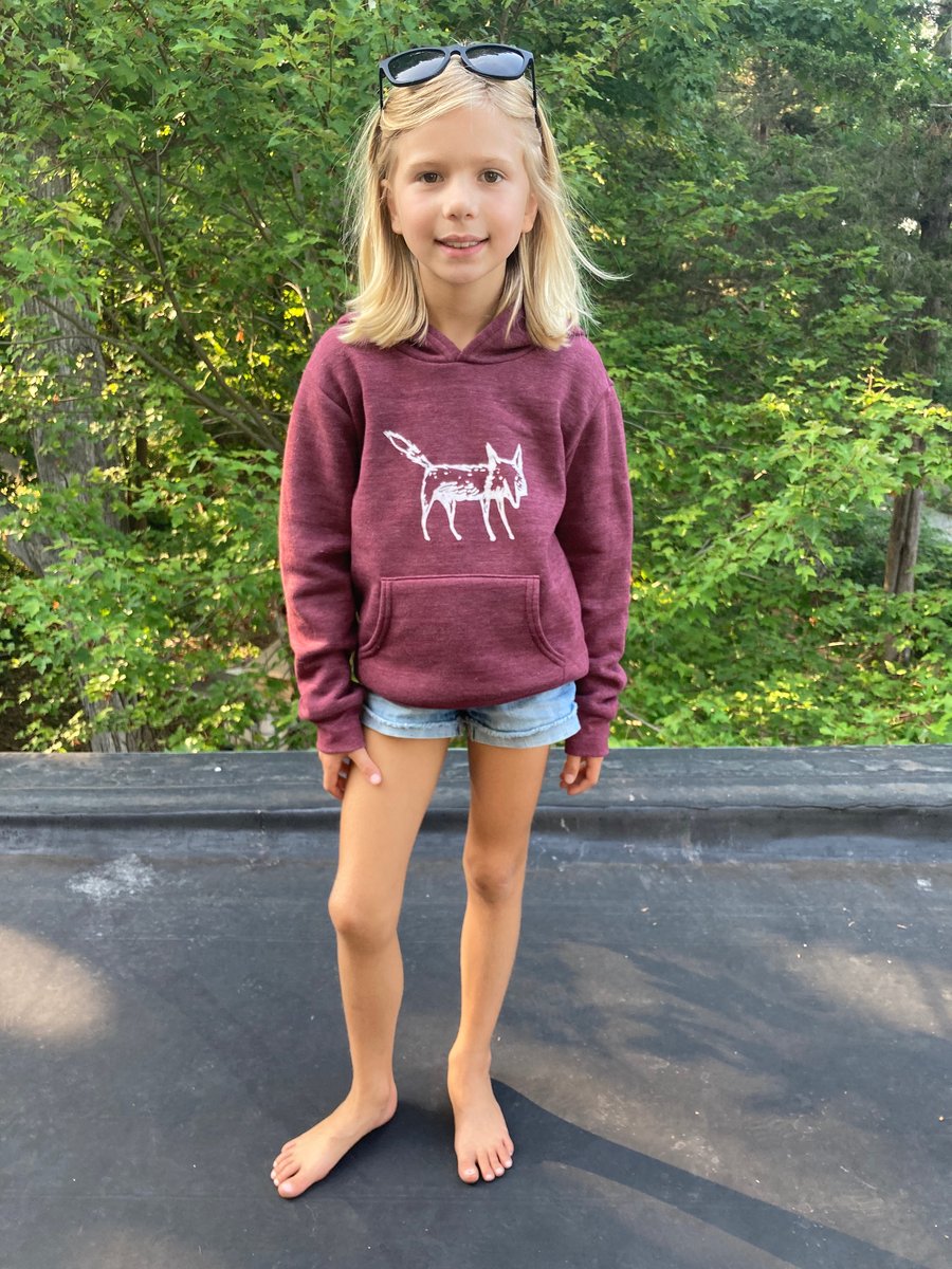 Kids fox hoodie online