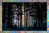 "PASTORAL" - LAVA FOIL