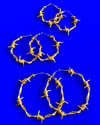 STAINLESS STEEL BARBED WIRE HOOPS - ALL SIZES