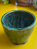 Image 1 of The Spectrum is Green Planter