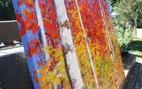 Image 3 of - Peaks of Colour -