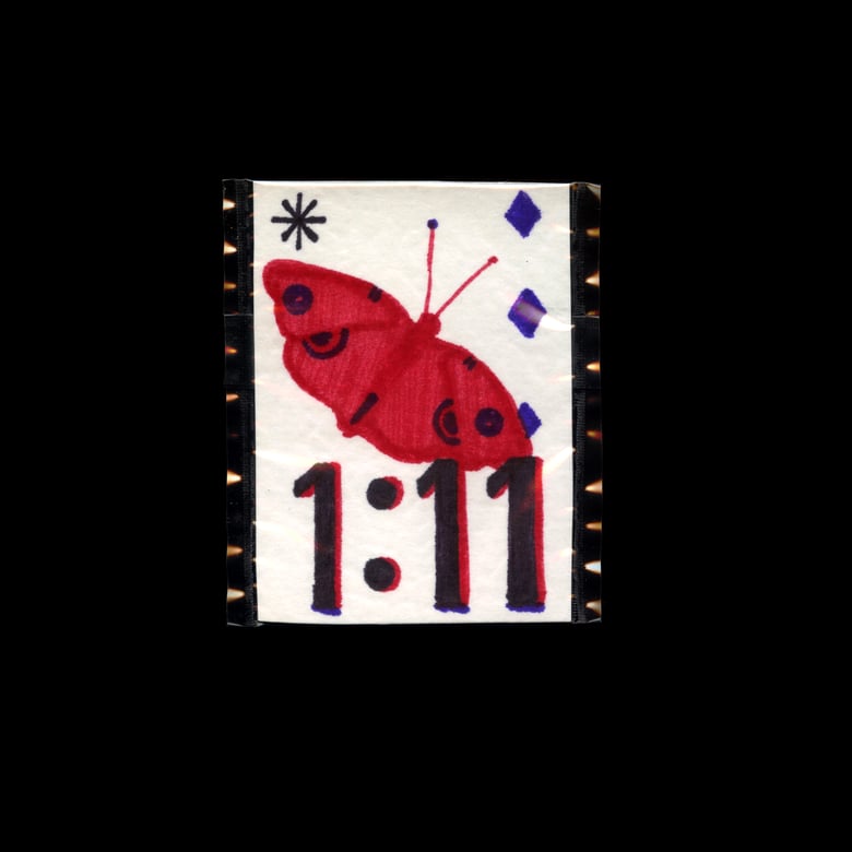 Image of 111 Moth