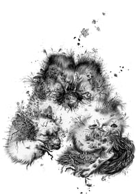 Image 1 of Aisling II - LARGE Print *Deckle Edges