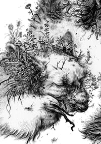 Image 3 of Aisling II - LARGE Print *Deckle Edges