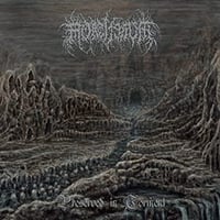 Mortiferum: Preserved In Torment CD