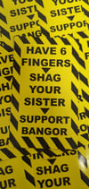 Pack of 25 10x6cm Caernarfon Town Anti Bangor Football/Ultras Stickers.