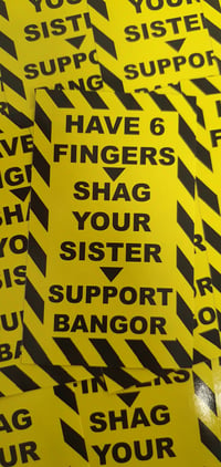 Image 2 of Pack of 25 10x6cm Caernarfon Town Anti Bangor Football/Ultras Stickers.