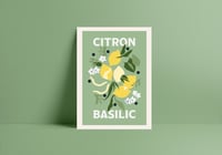 Citron Basilic 🍋