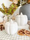 SALE! Pumpkin Pots ( Set or Singles ) 
