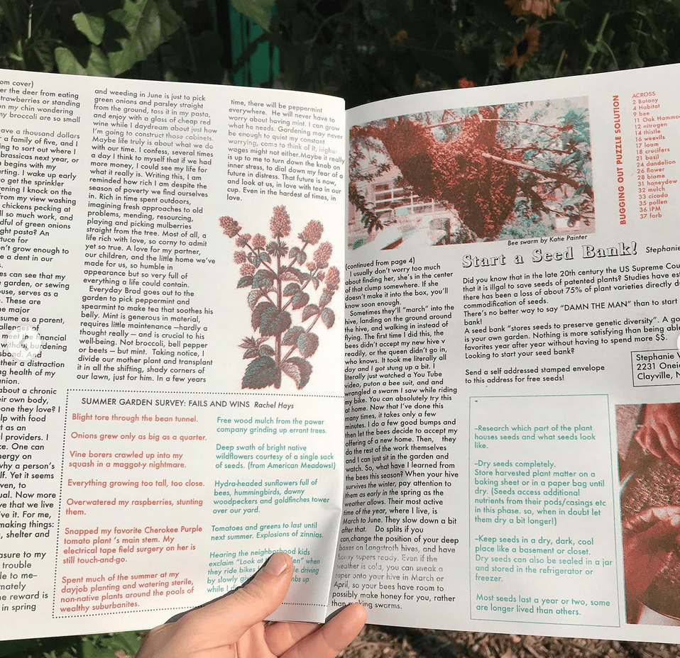 FLORAL OBSERVER Issue 2: Summer 2022