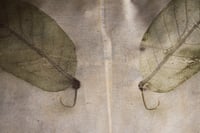 Image 3 of Eco printed / Double sided / Silk pillowcase