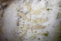 Image 4 of Eco printed / Hand embroidered / Silk pillowcase