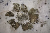 Image 4 of Botanically printed / Hand embroidered / Linen pillowcase