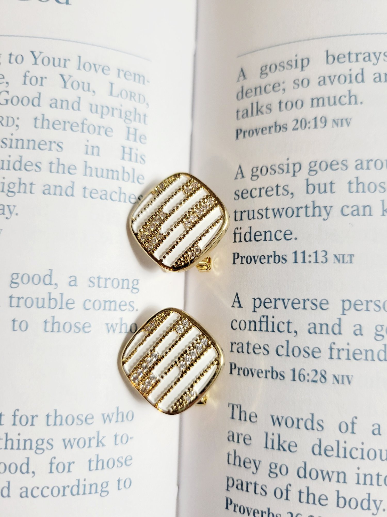 Image of Zircon and Enamel Earrings