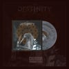 DESTINITY "IN CONTINUUM" - (LP IN GATEFOLD 180g - Silver galaxy or Gold)