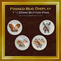 Image 5 of Pinned Bug Display Mini Button Pins •  1"/25mm