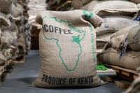 Image 1 of Kenya-Kichwa-Tembo-AA