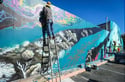 Under Duality, Santa Cruz 