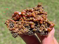 Image 1 of Vanadinite On Black Barite Specimen #2548