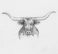 Texas Longhorn