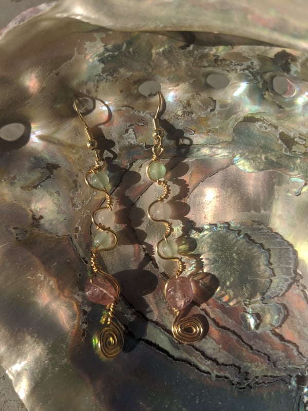 Image of Abalone Earrings